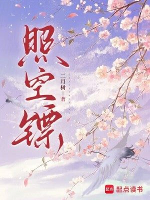照空镖