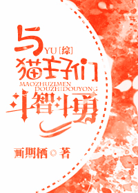 与猫主子们斗智斗勇
