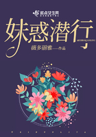 妹惑潜行