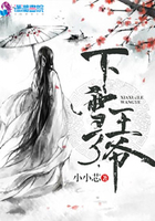 下雪了王爷
