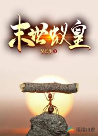 我造铠甲守护华夏