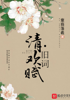 清欢赋旧词