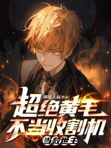 反派黄毛我是超级学霸