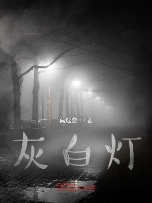 灰白日志